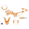 Kit Déco Moto Cross Eraser KTM 65 SX Orange