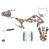 Kit Déco Moto Cross Freegun Eyed KTM 50 SX Orange